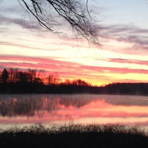 Meet your Posher, Misty